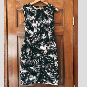 Lark & Ro Women's Dress